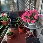 Oasi Dei Fauni - Terrazza Nel *